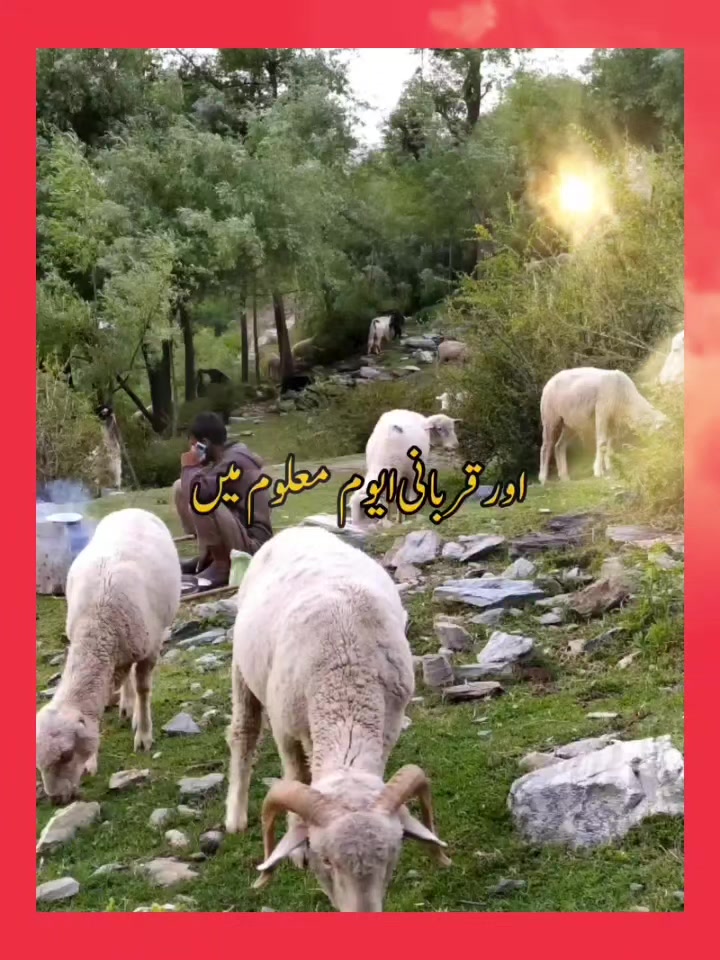 @M&ucirc;sl&icirc;m. Q&ucirc;&euml;&ecirc;&ntilde;