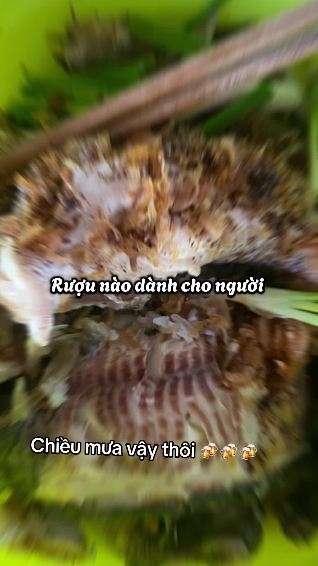 @Thích trắng đen👨🌾