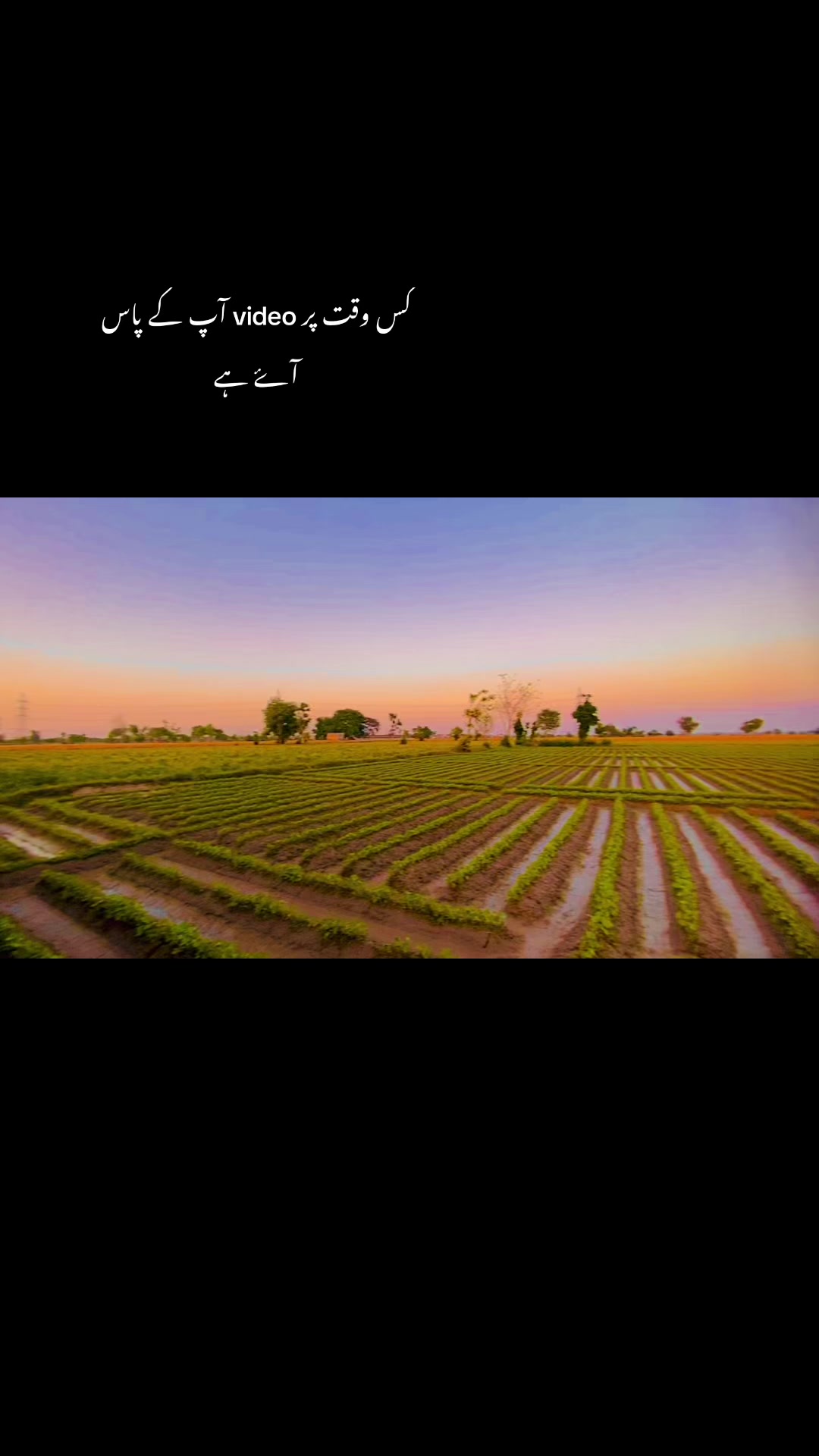 @🥬🎗️پنڈاں آے 🌺