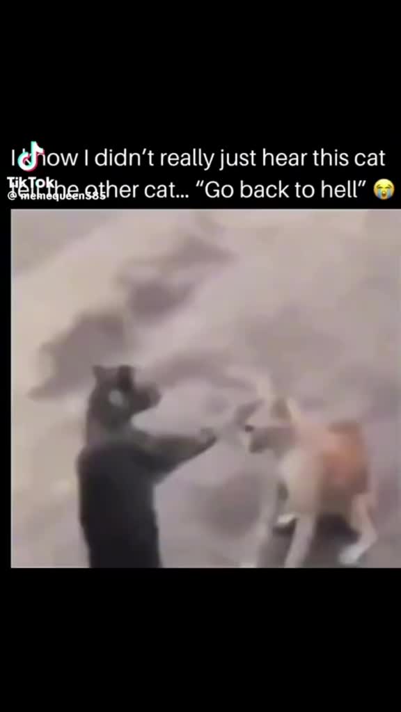 @Alpha5_wolfgirl