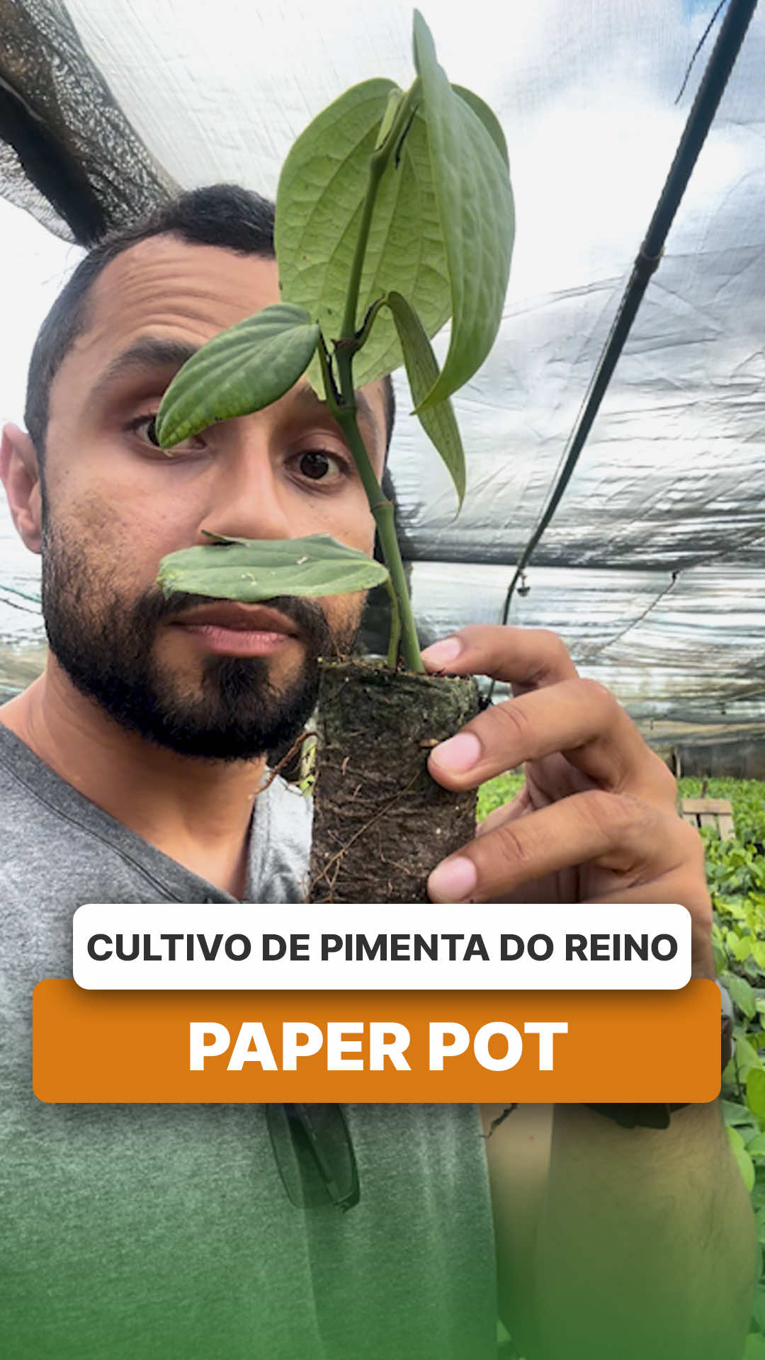 @ViveiroProMudas