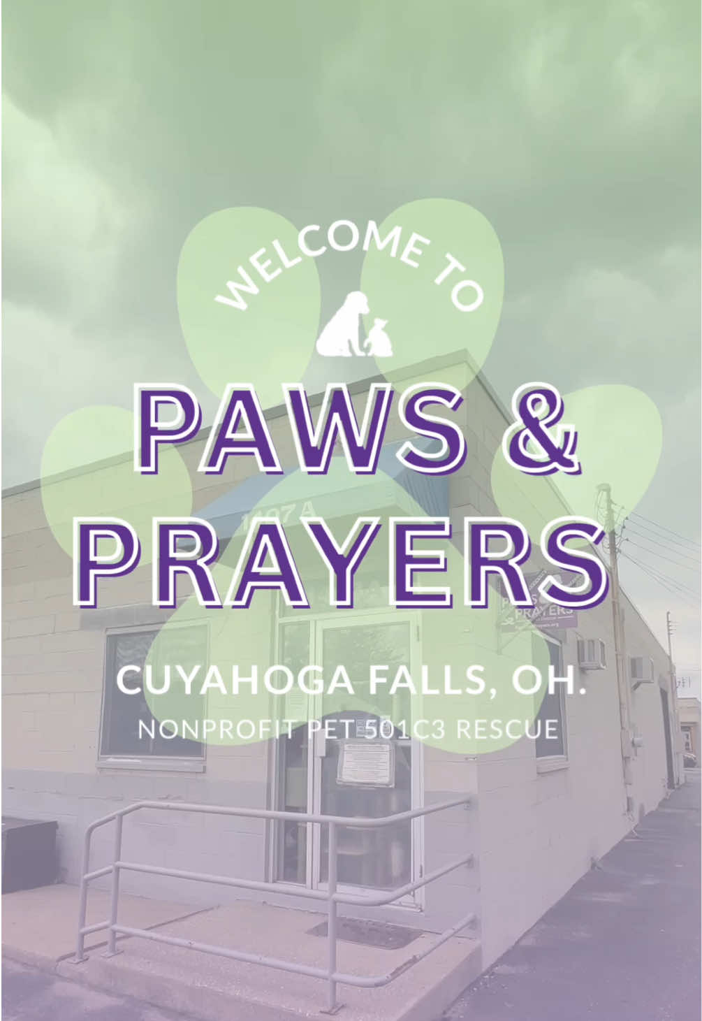 @Paws and Prayers