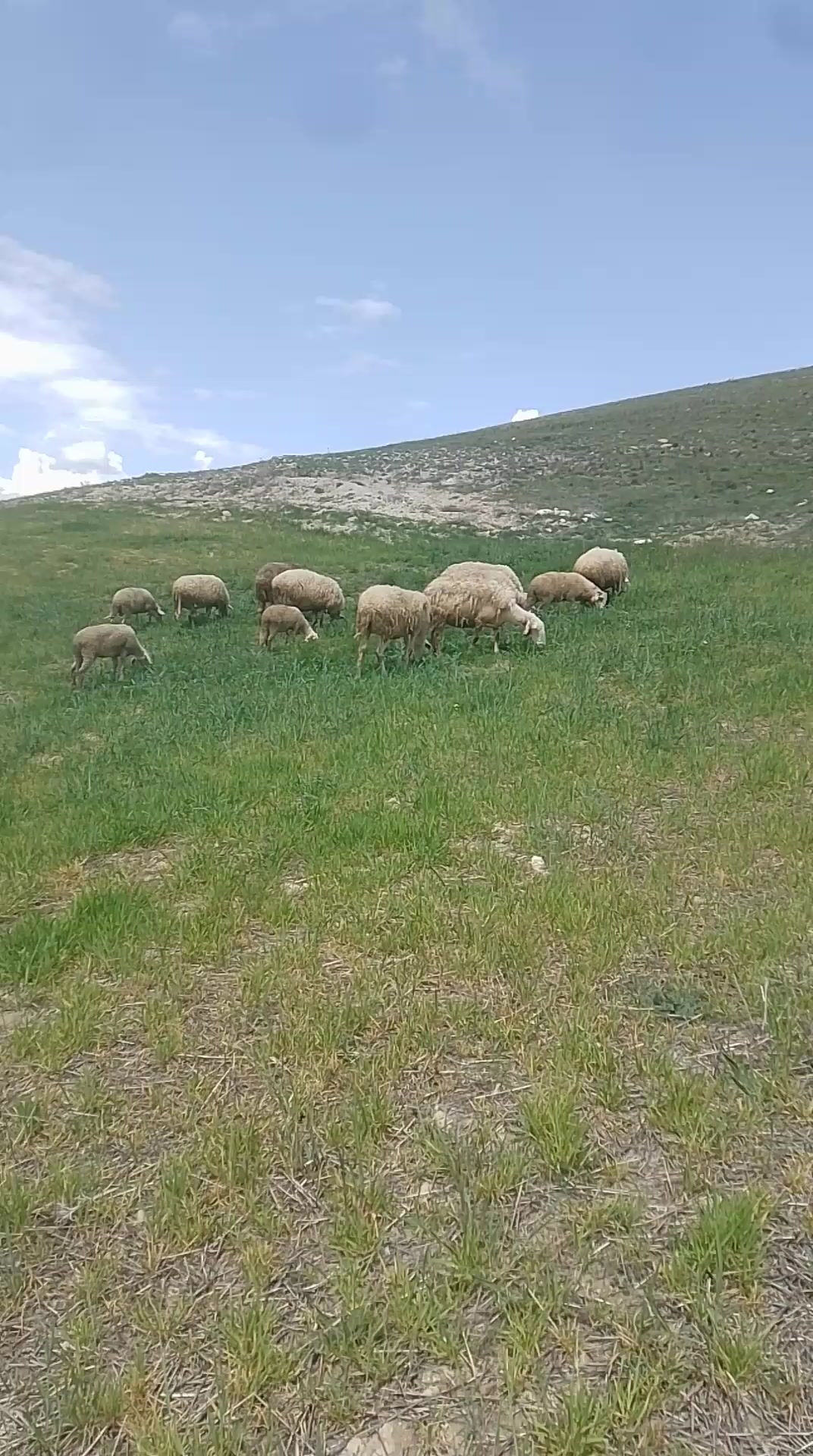 @kadir akduman03