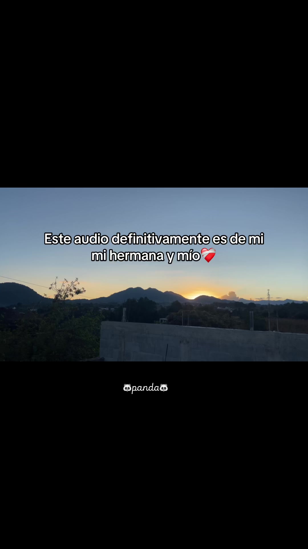 @chica06panda