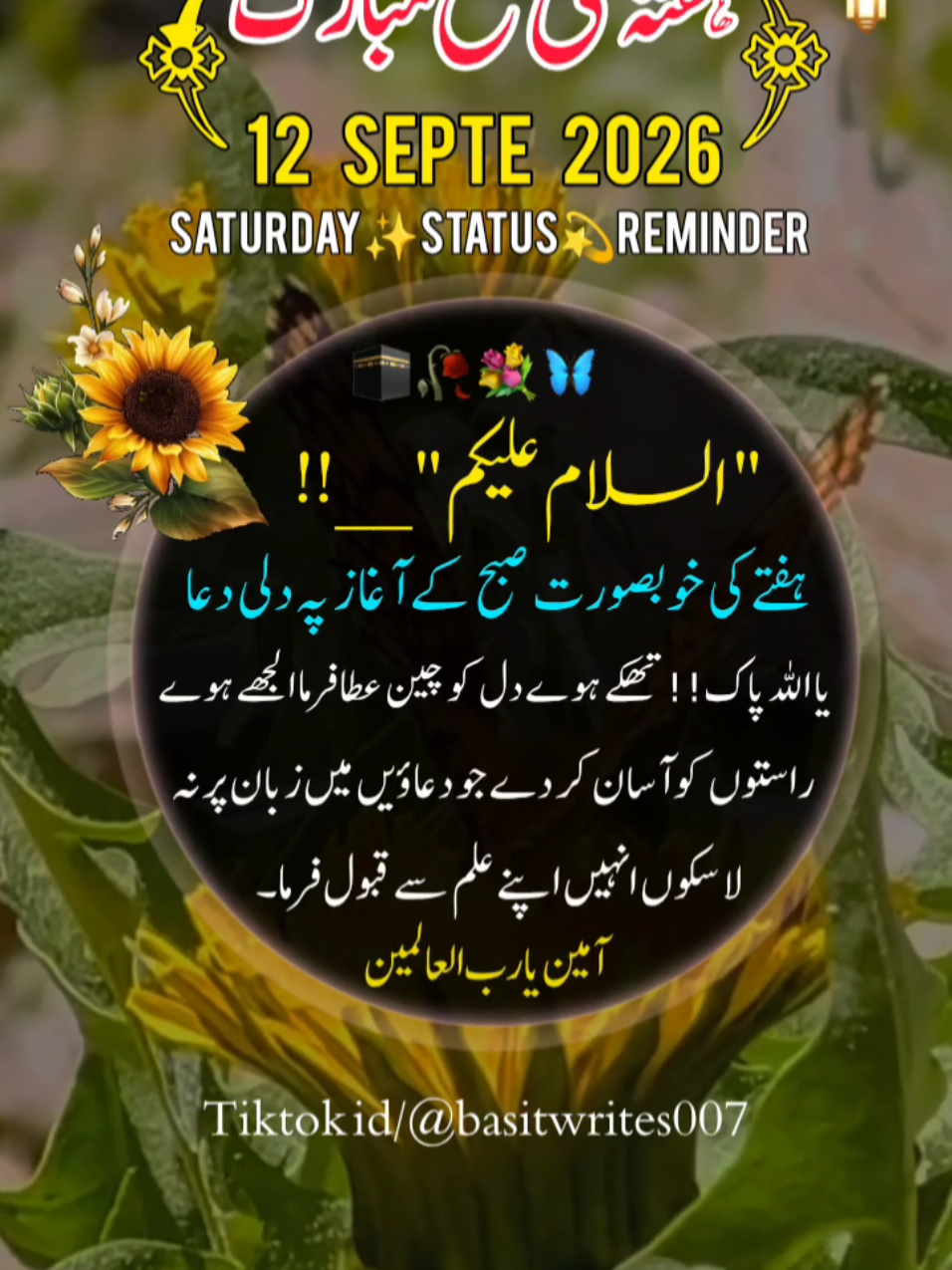 @basitwrites007