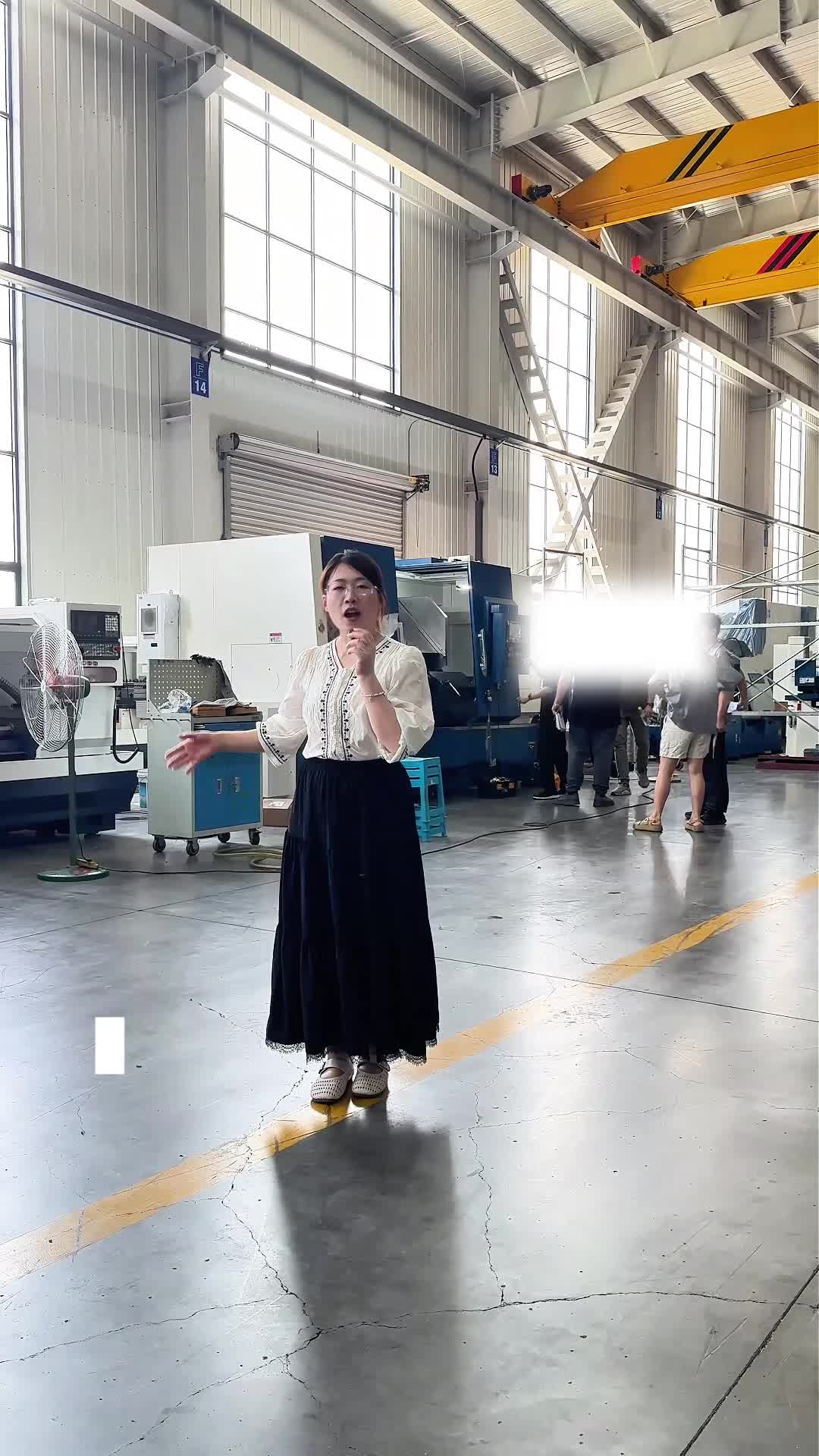 @LUZHONG MACHINE