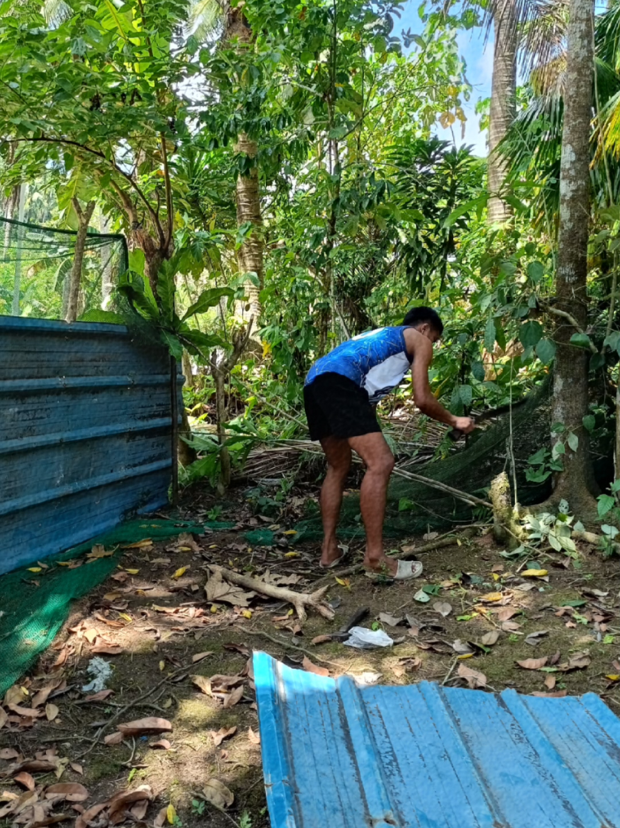 @Arnel Sediño