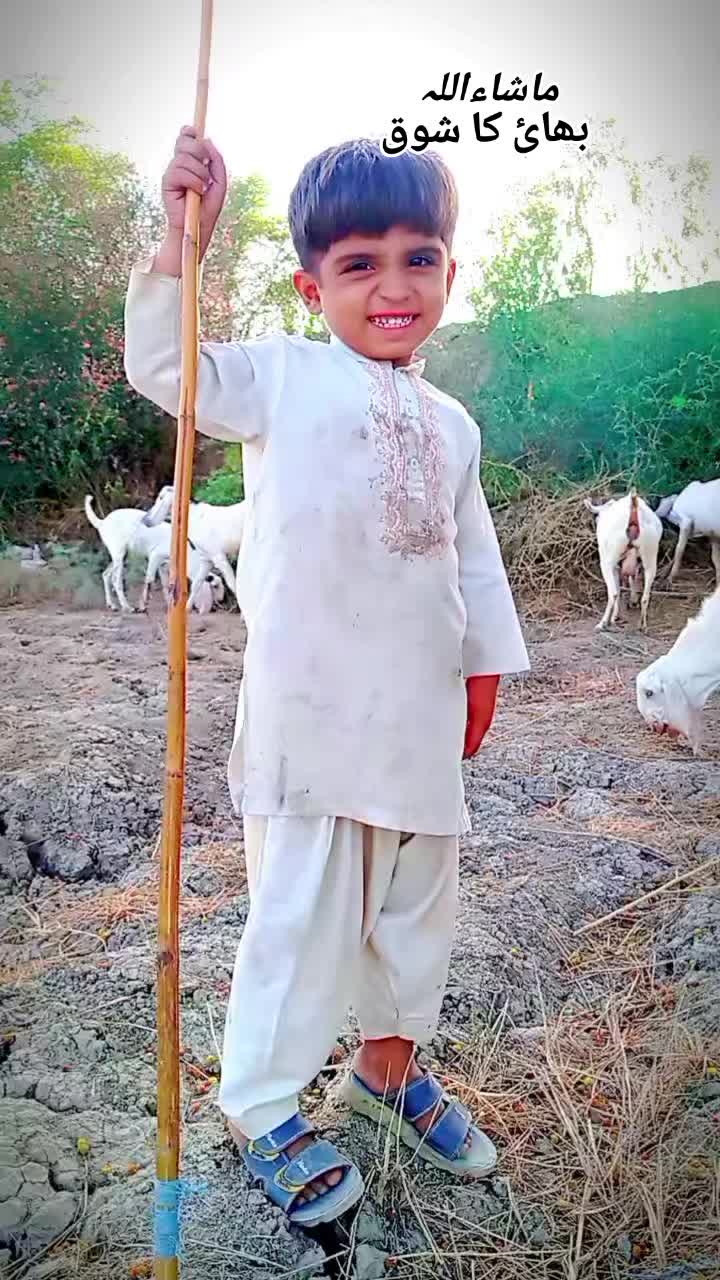 @سردار 🫀