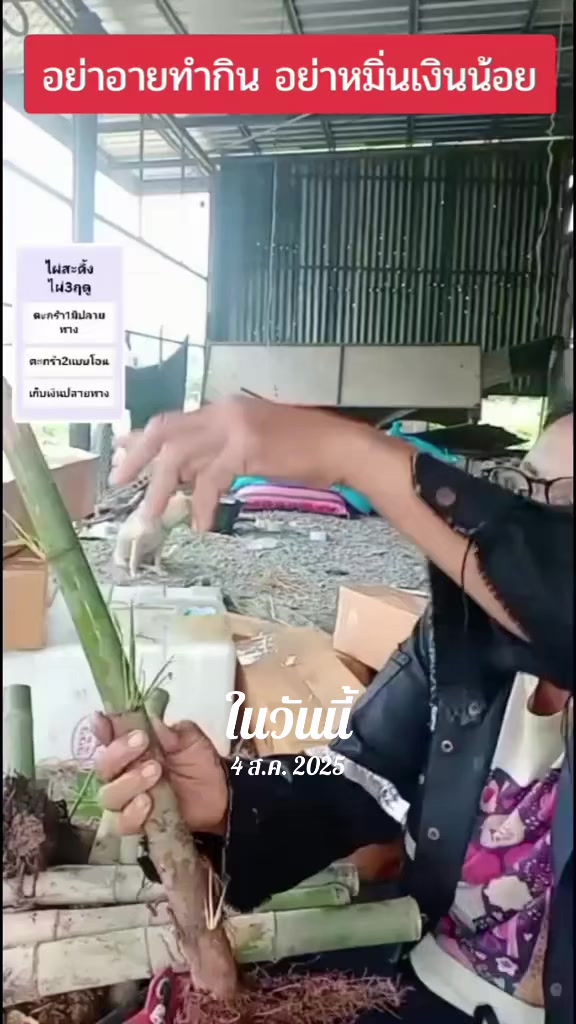 @นัดดาชอป