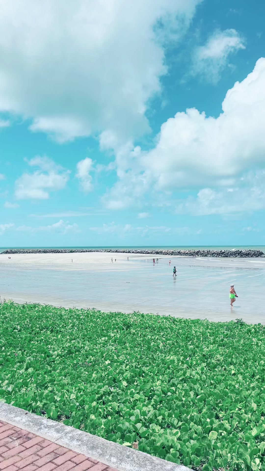 @Pernambuco  Meu Amor 🇧🇷🇧🇷