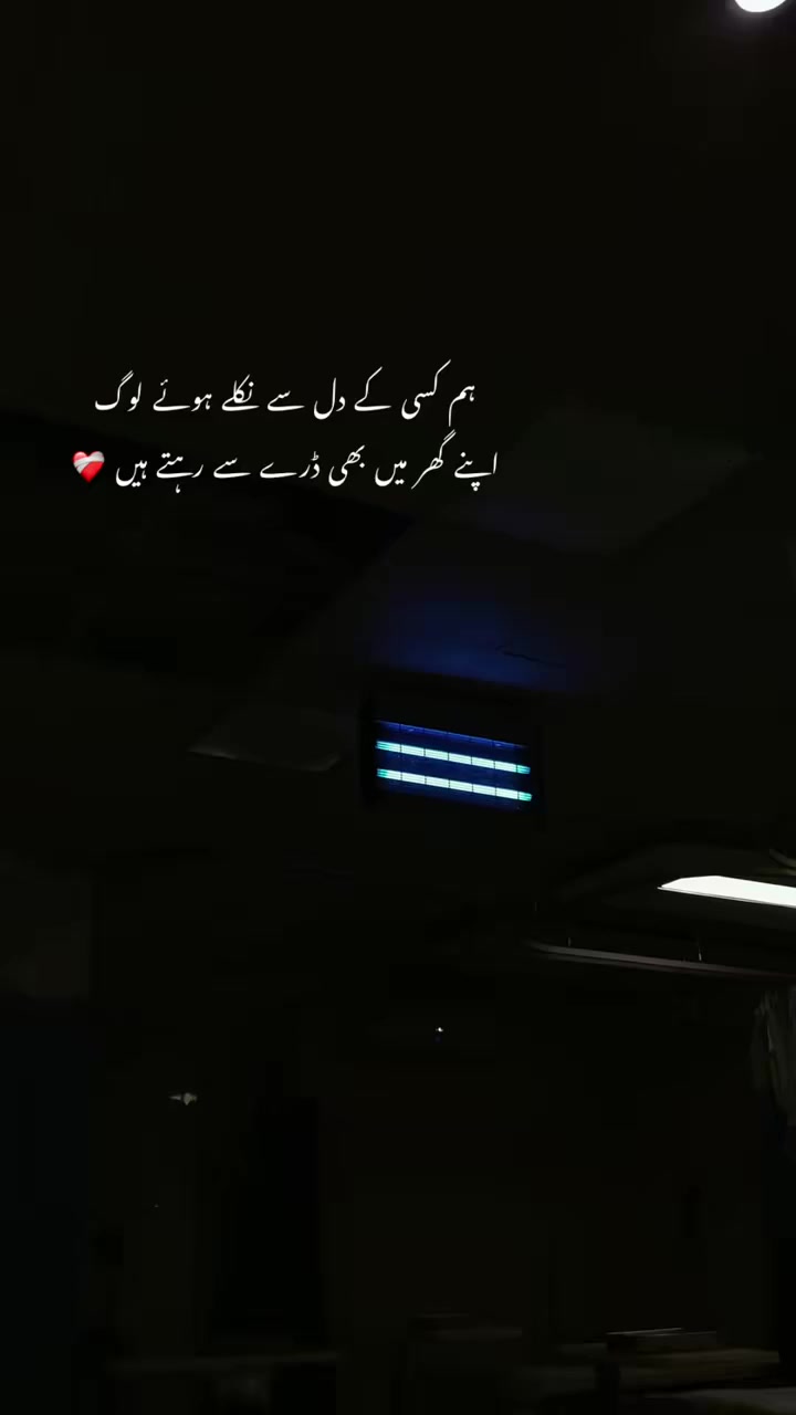 @Aesthetic Vibes