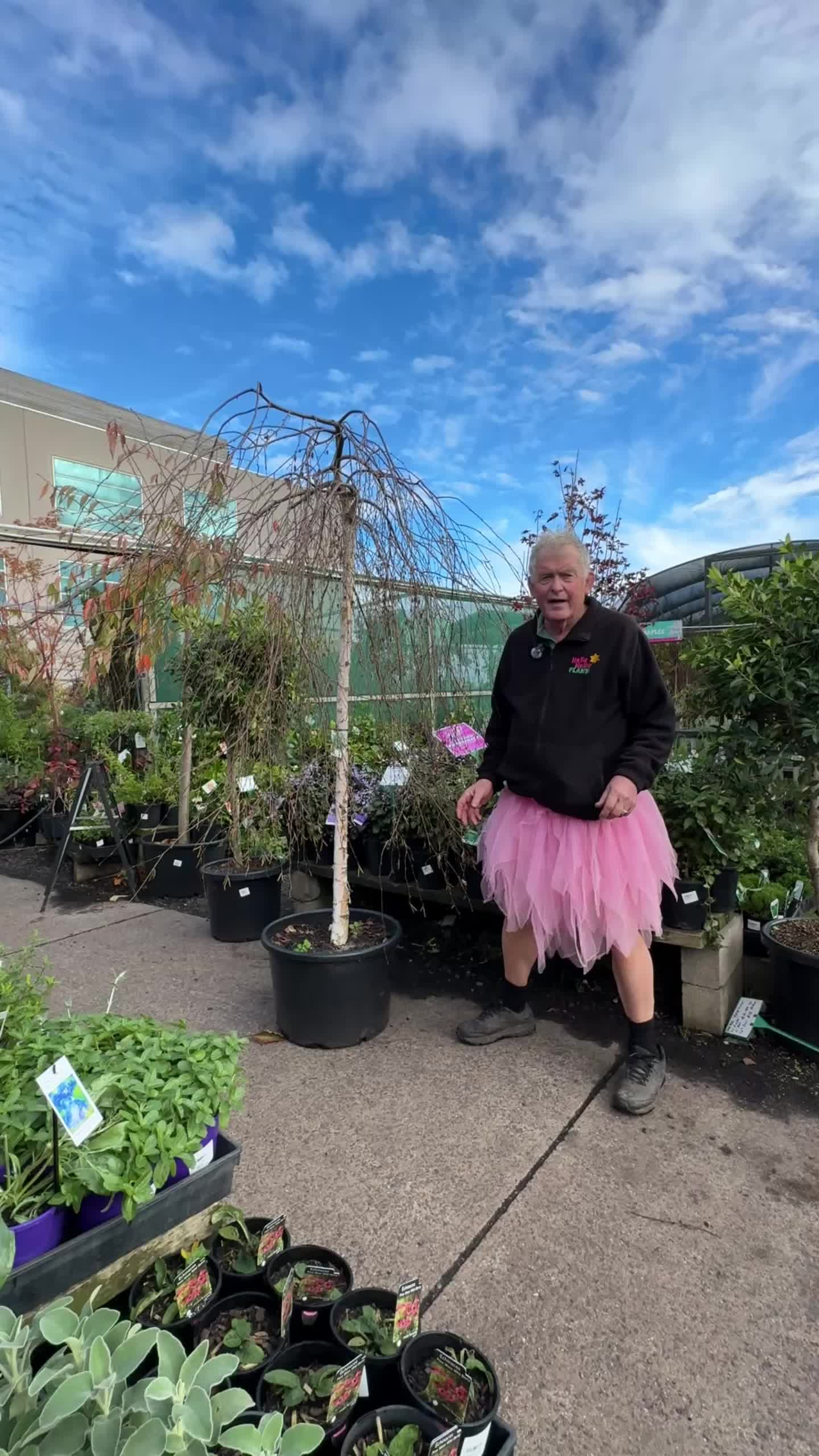@Hello Hello Plants Nursery