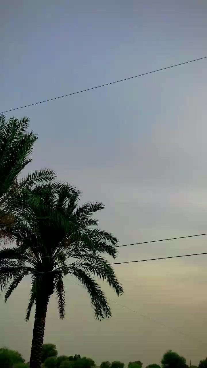 @falakshar