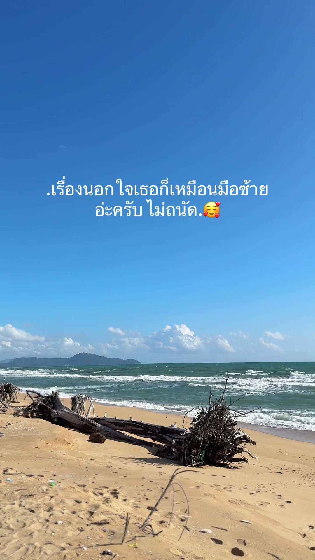 @fai.wiphada_26