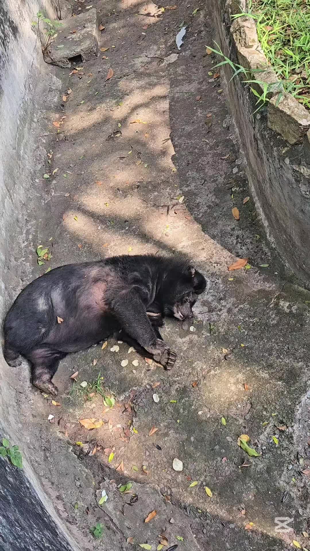 @Tờ Riết sắp c&oacute; bồ 🇻🇳