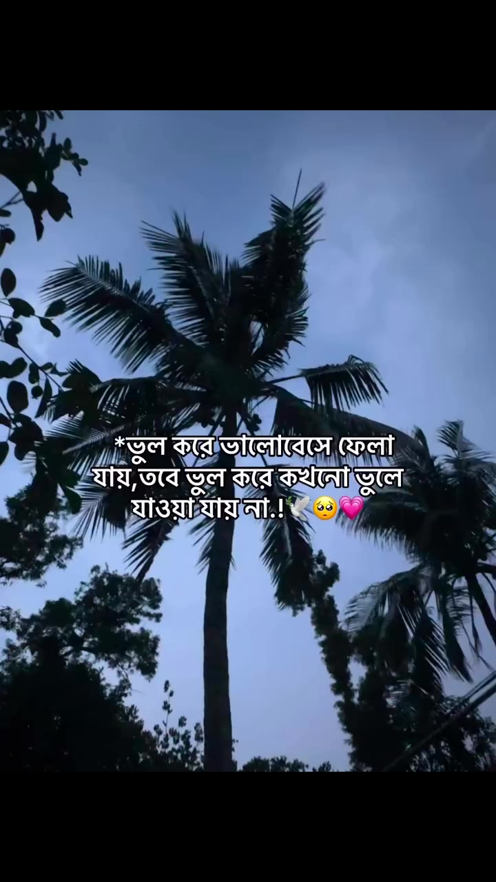 @🌷সুনামগঞ্জের ছেলে🌷
