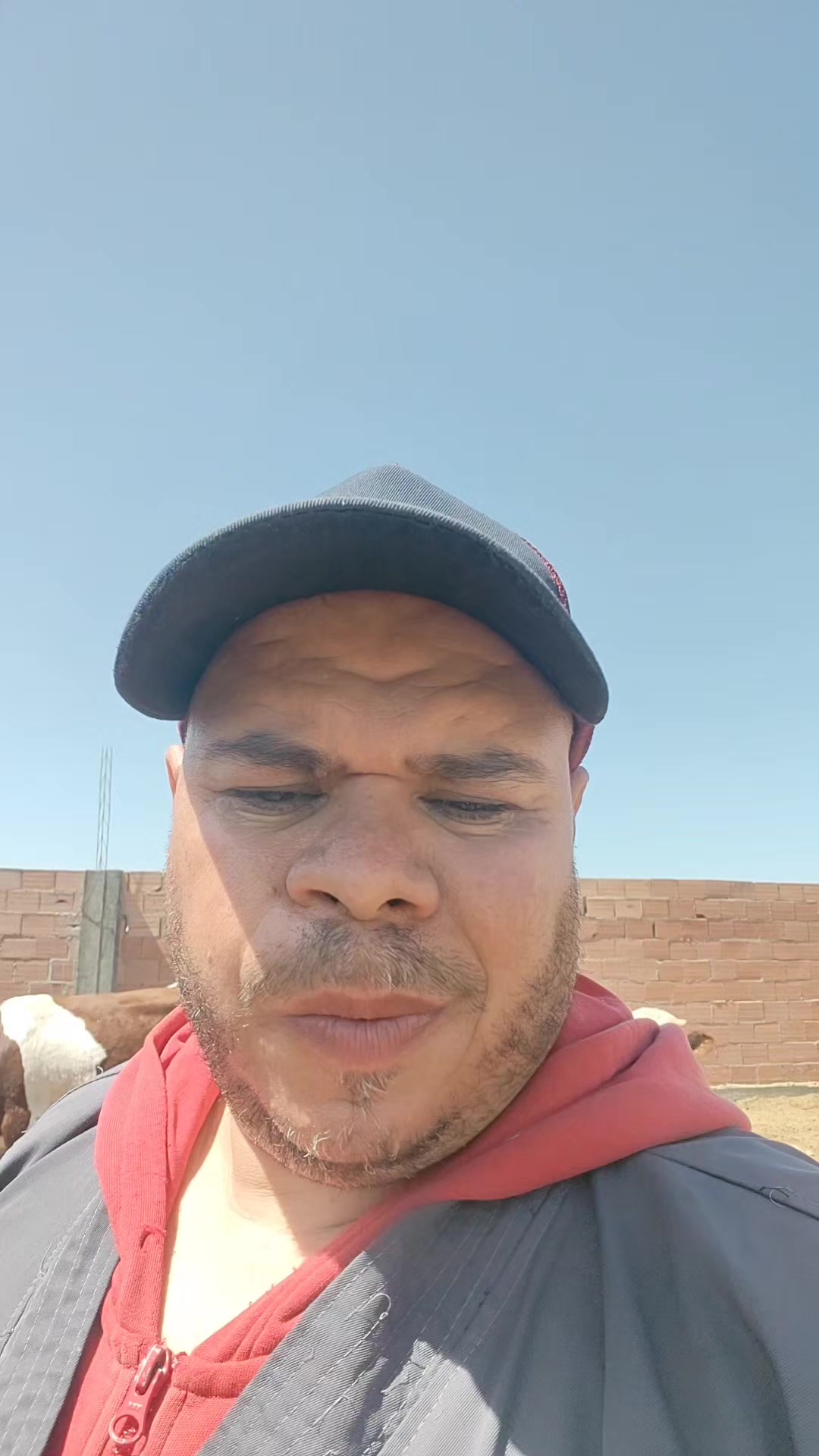 @طبيب بيطري و أفتخر