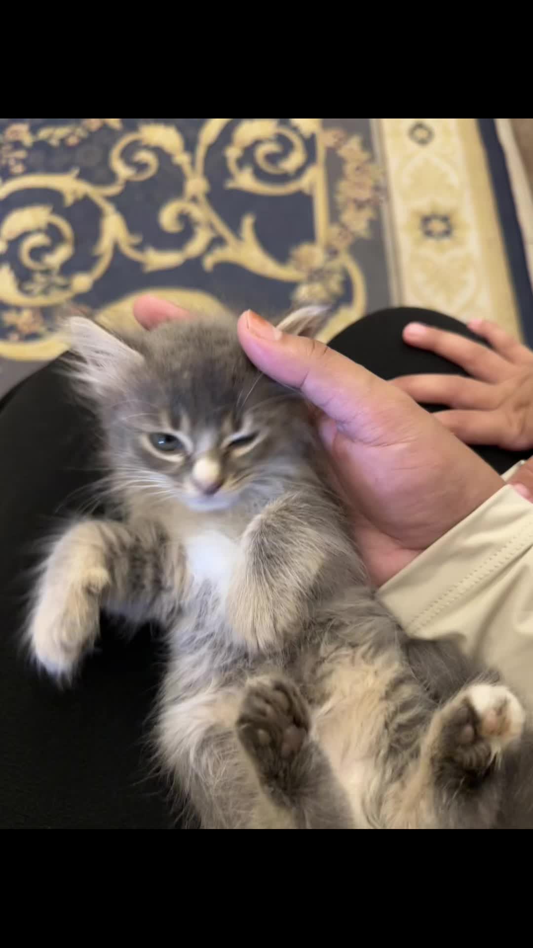 @𝐓𝐄𝐄𝐊𝐀𝐇