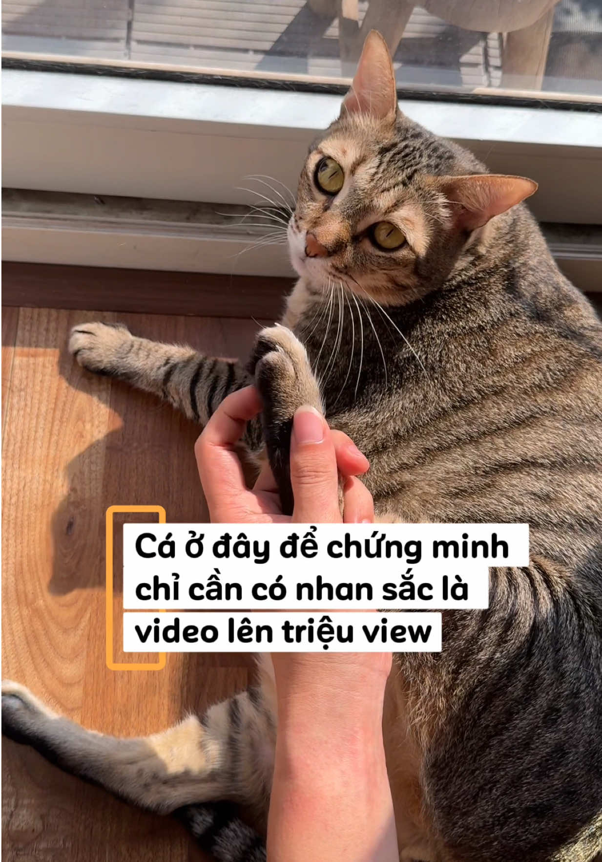 @Gia Đình Cá Cua