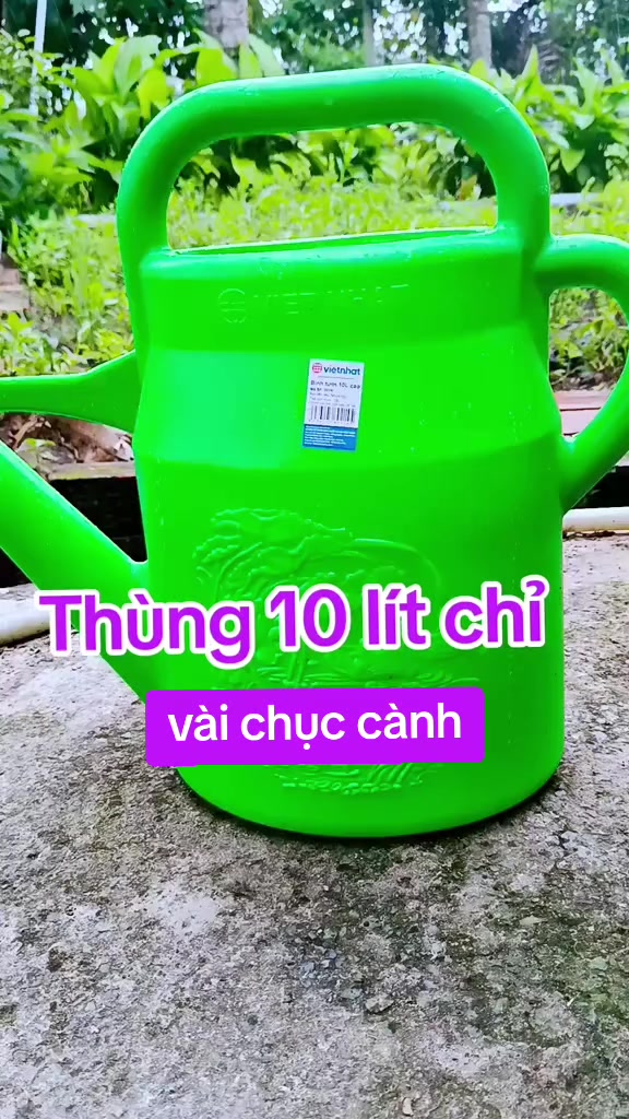 @Lạc Lạc