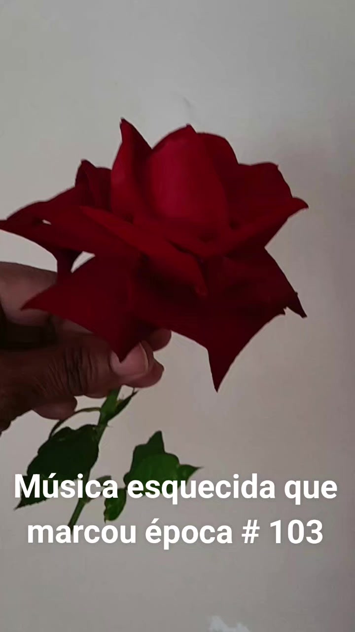 @annysantos00o