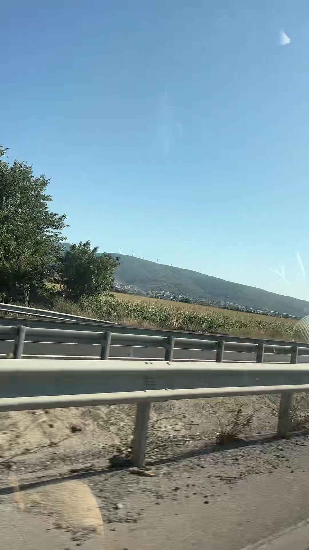 @🌼Çiçek🌼
