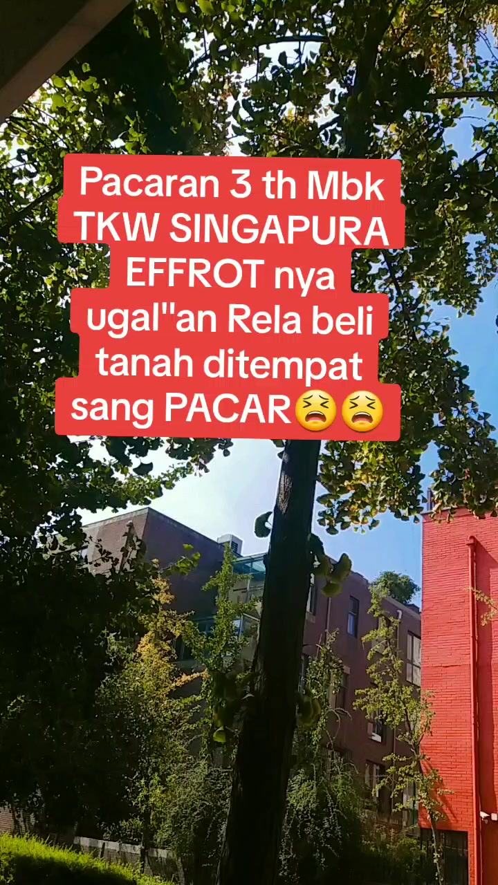 @ZeeZee