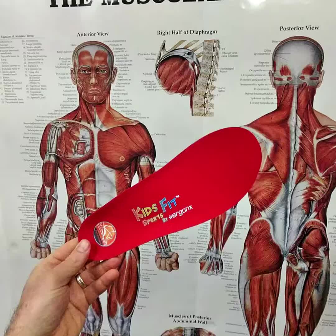 @ergonx