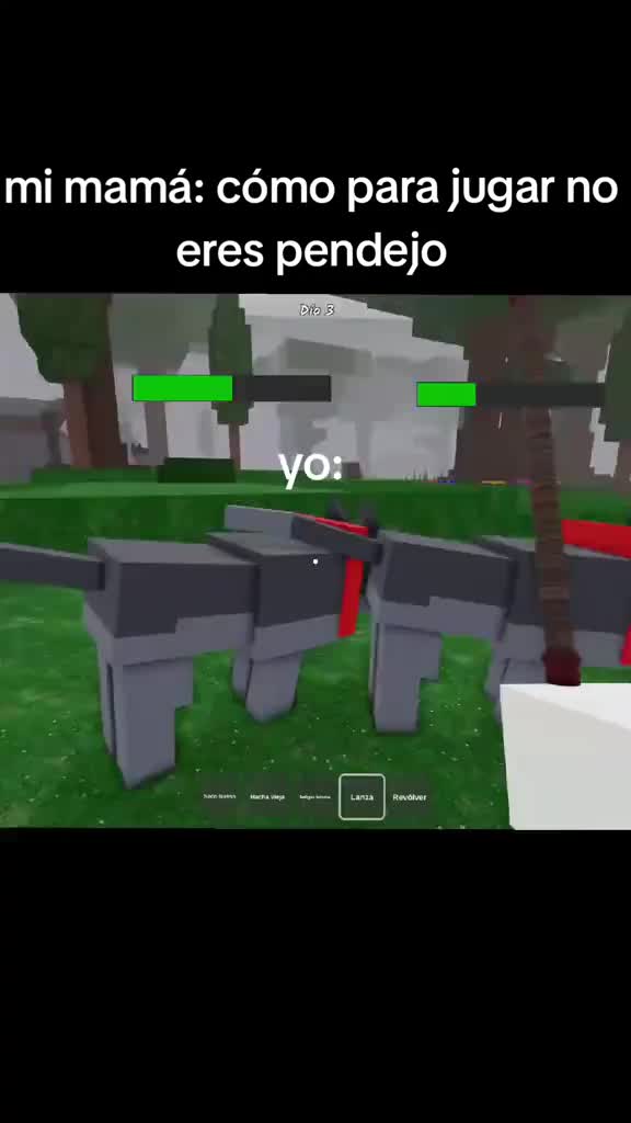 @Gee0666