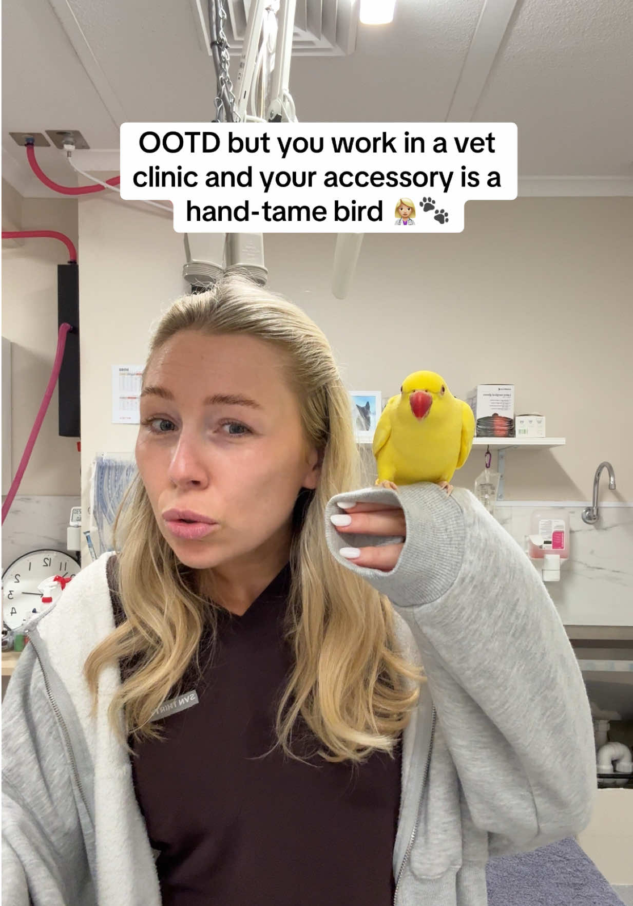 @Tess the Vet Nurse