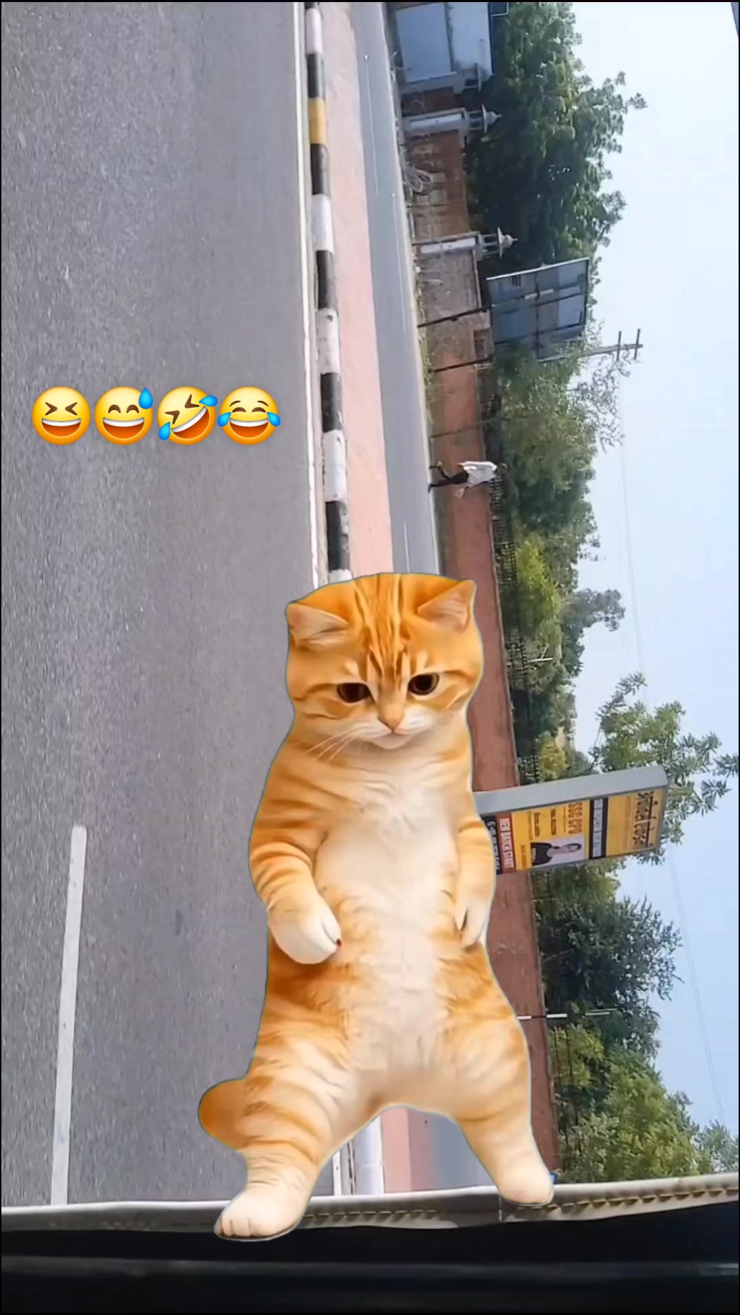 @fucchey