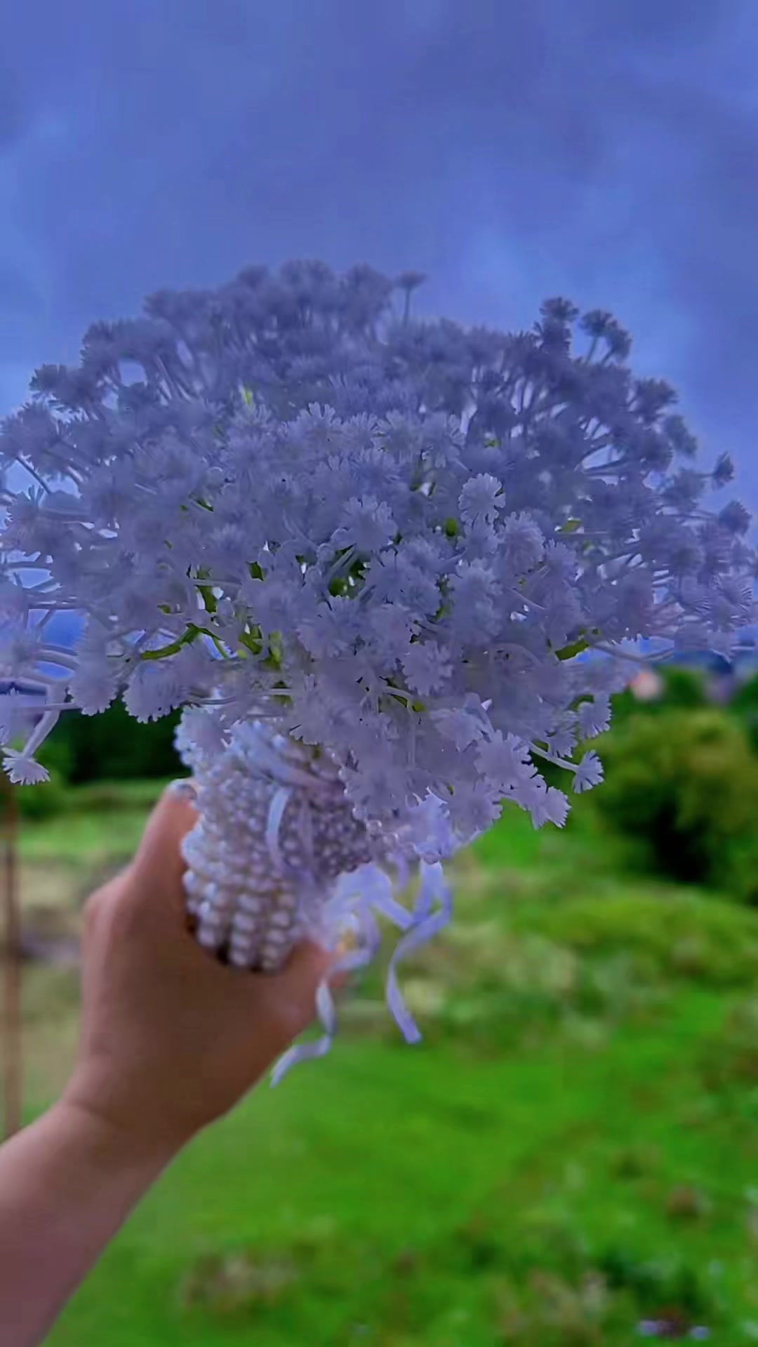 @ნესტანი ჩიჩუა