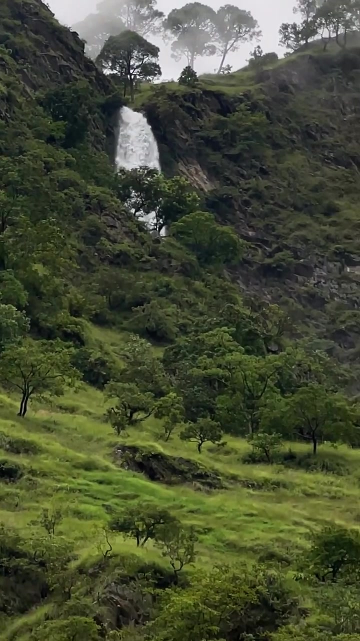 @थिँयाल 🌿