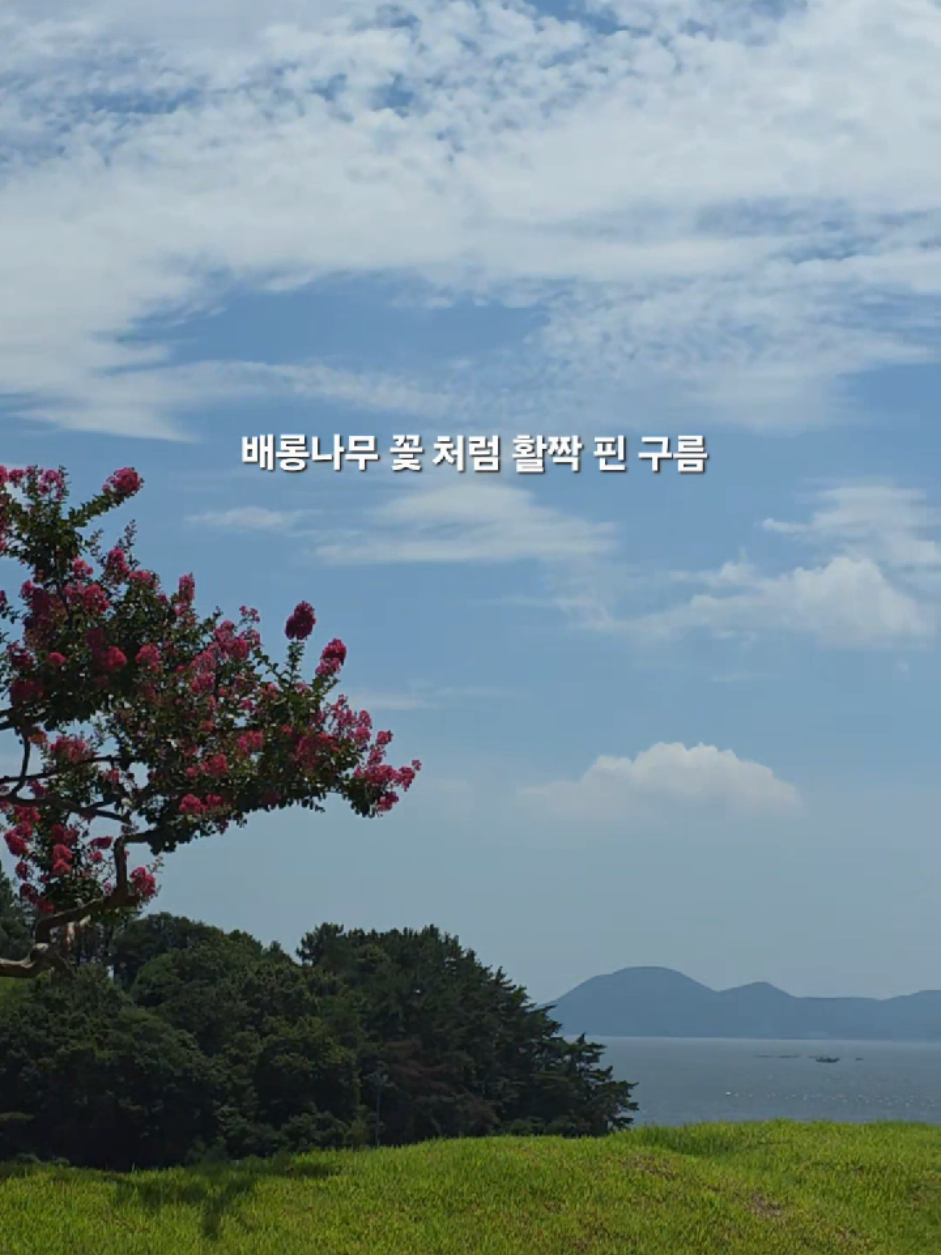 @김상근
