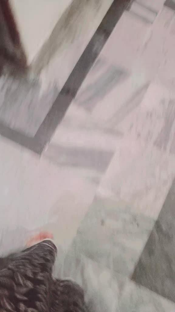@قاتل مغل 🫶🏼
