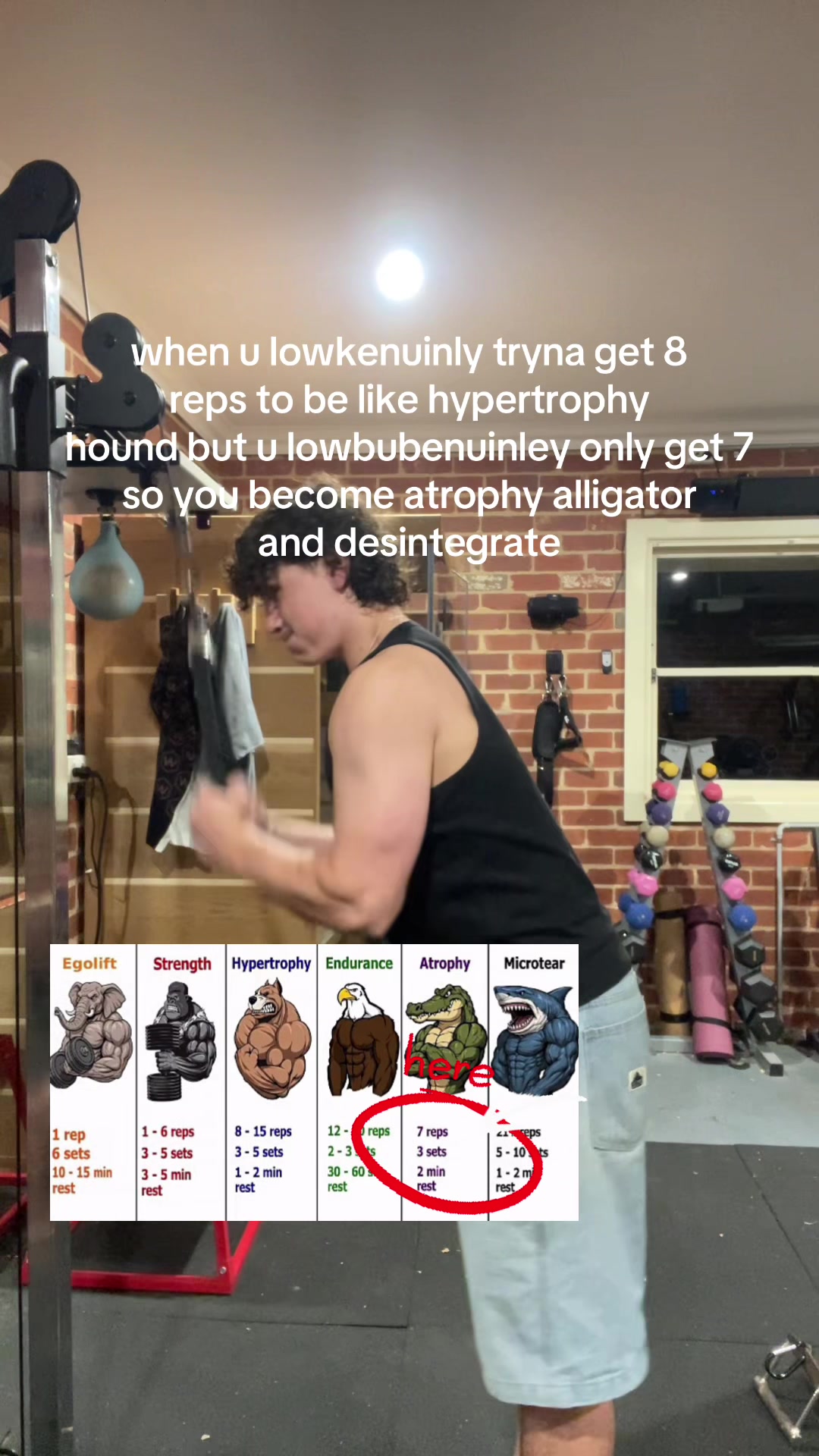 @rochelifts