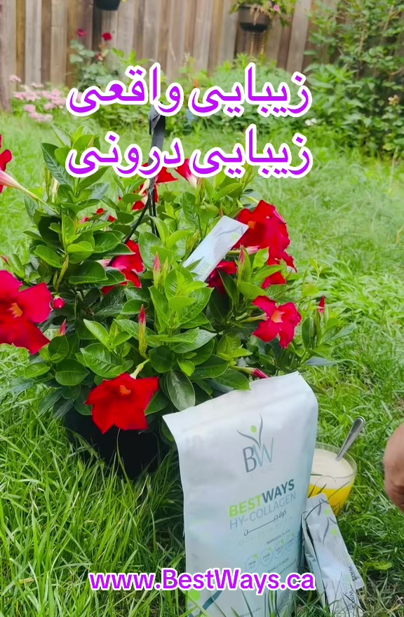 @Inamullah Fayez
