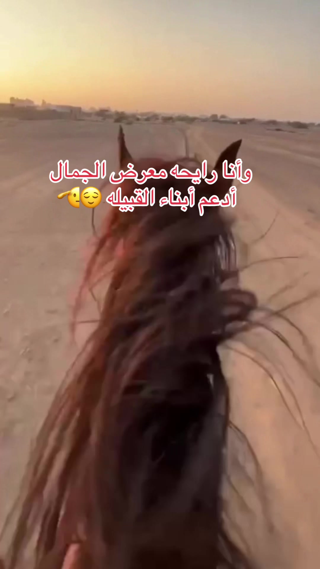 @تغطيات Bayan الخرج 👑 🐎
