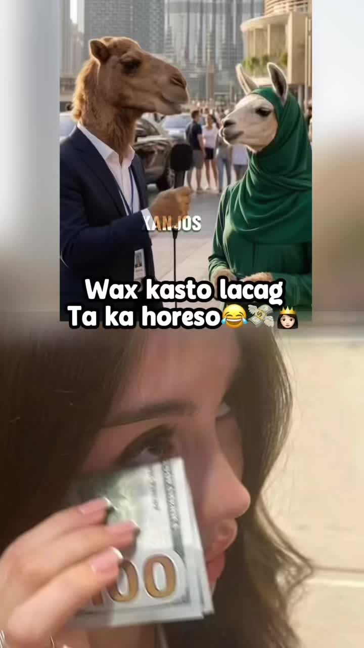 @xanjos_🇸🇴