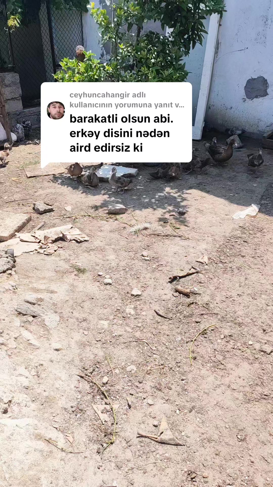 @MAŞTAĞA_QUŞCULUĞ