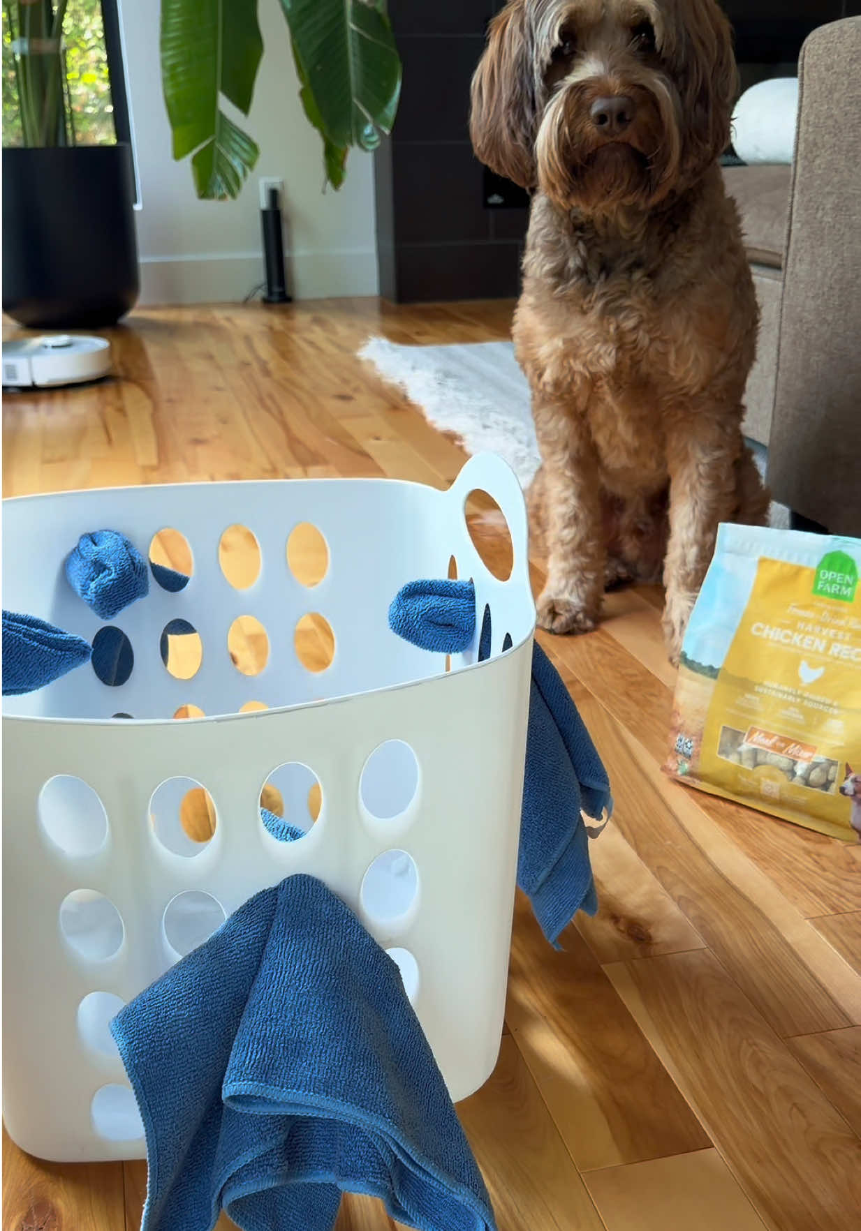 @Dogs Made Simple