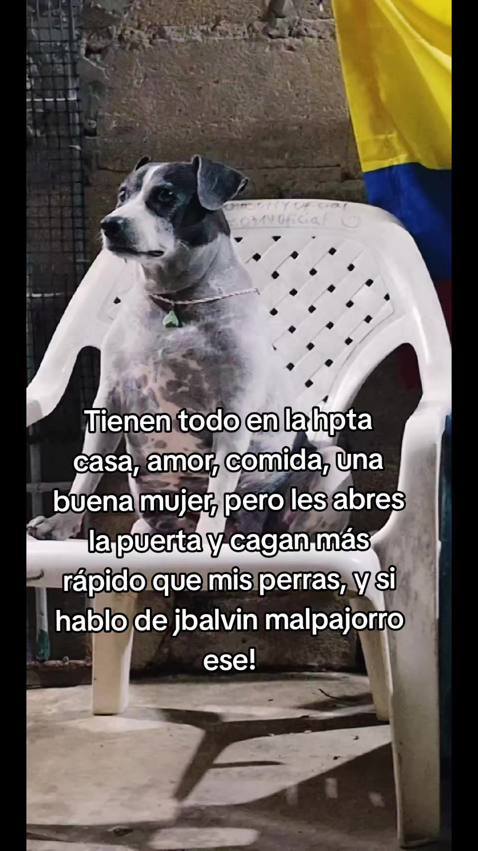 @MANCHAS 0714 OFICIAL