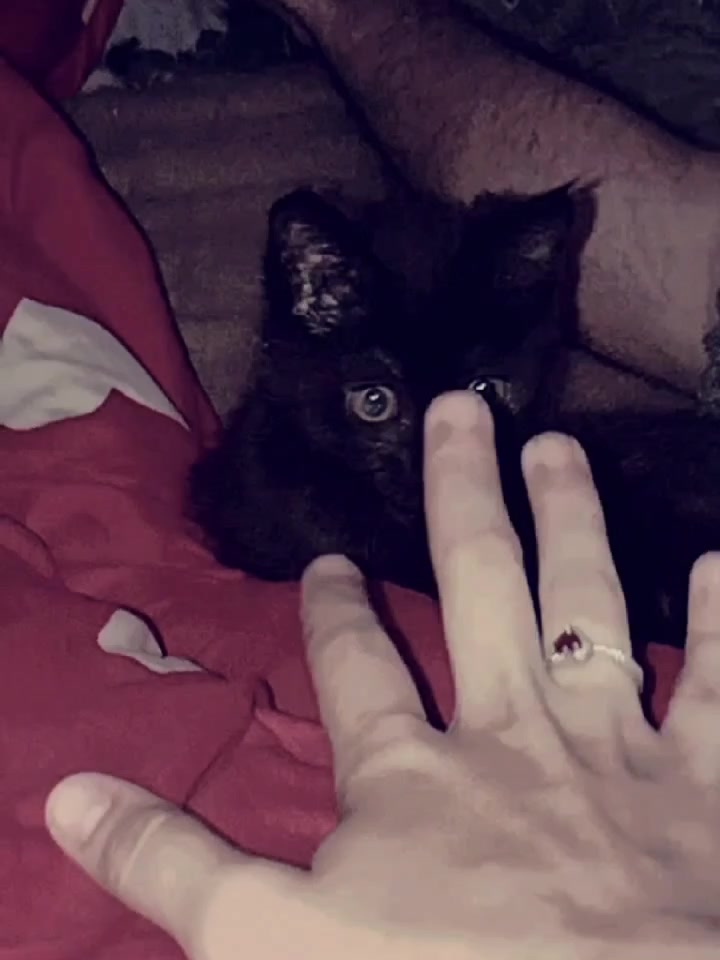 @дошык💗