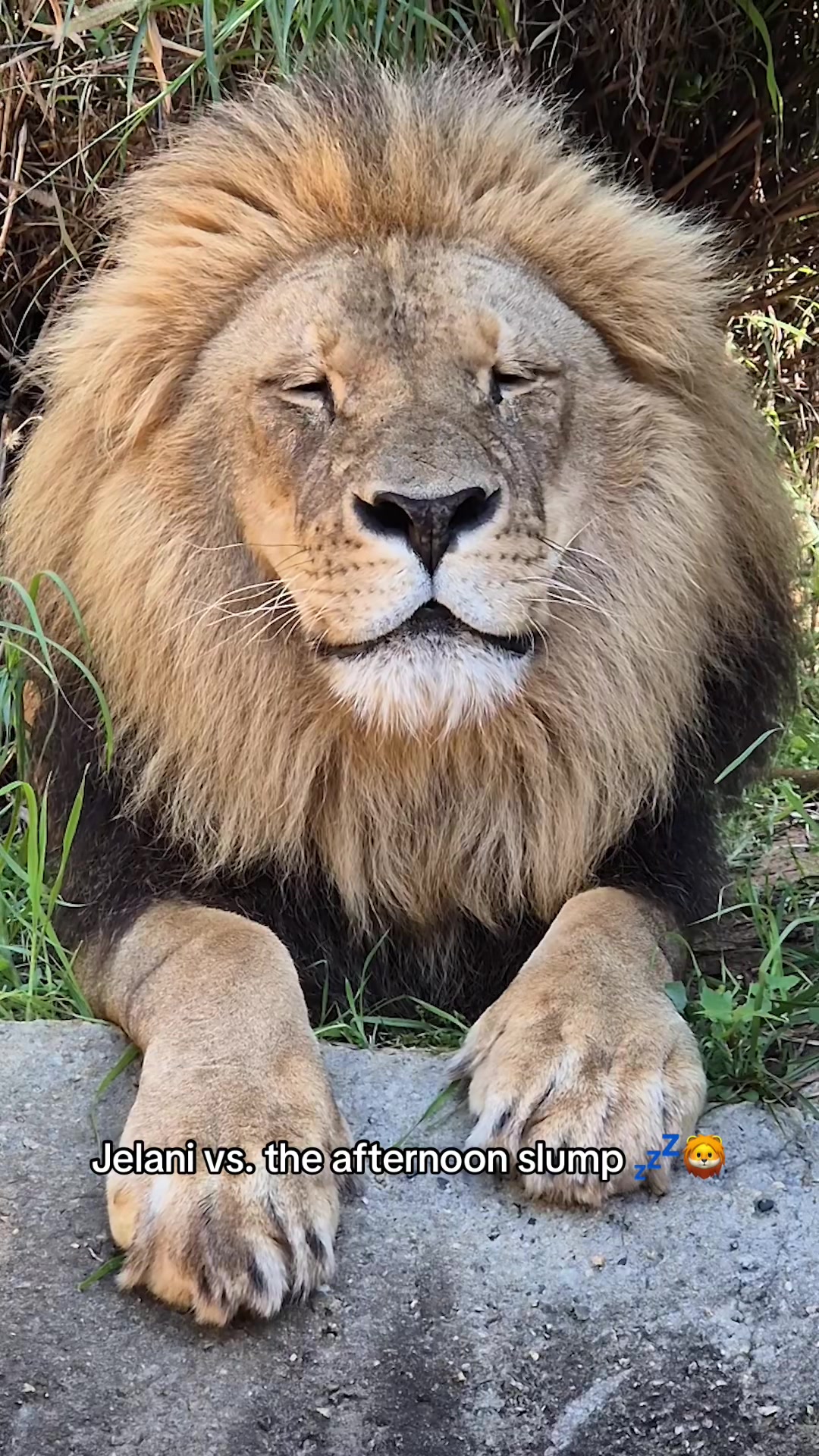 @Perth Zoo