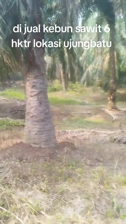 @duo property pku