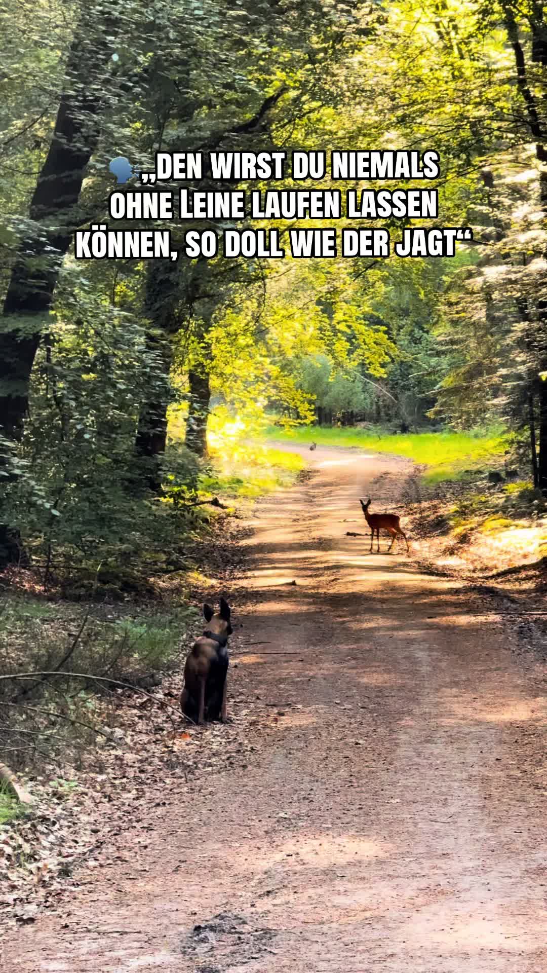 @Kathi