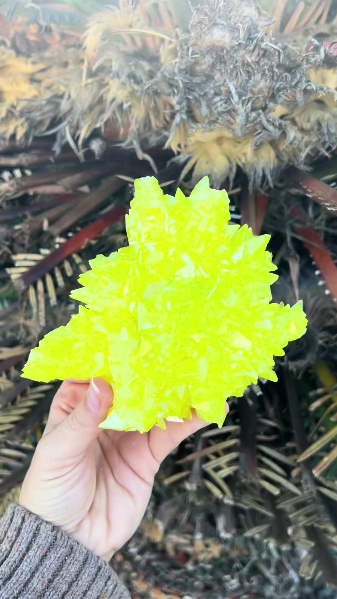 @Muse Crystals