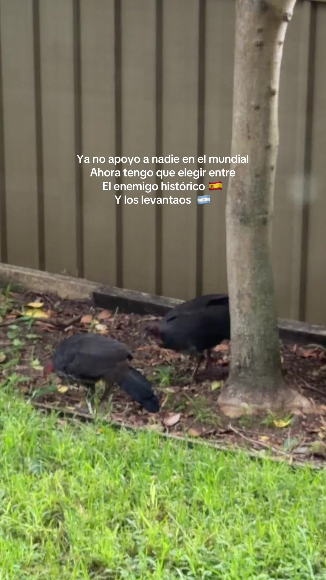 @anita.solange