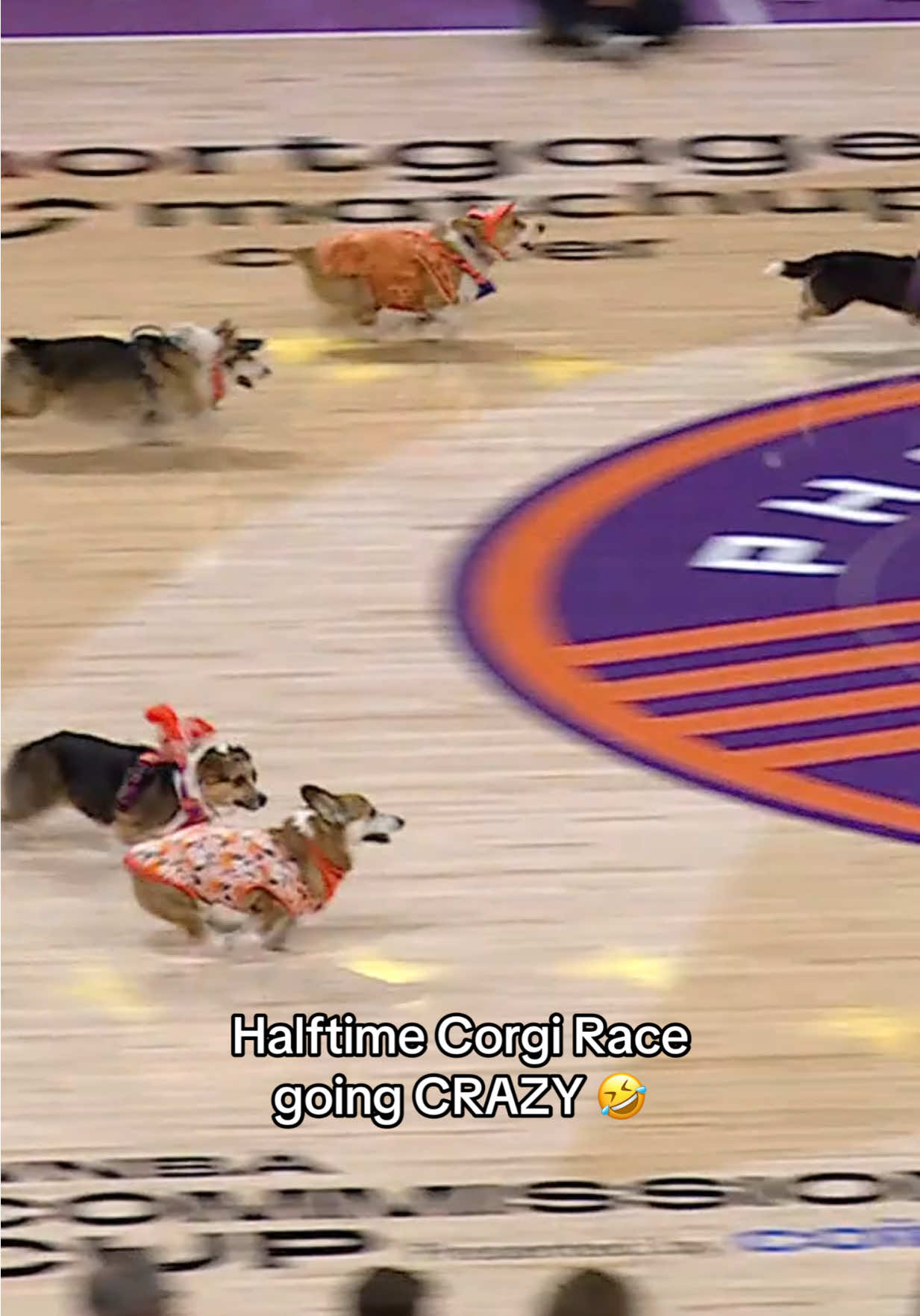 @Phoenix Mercury