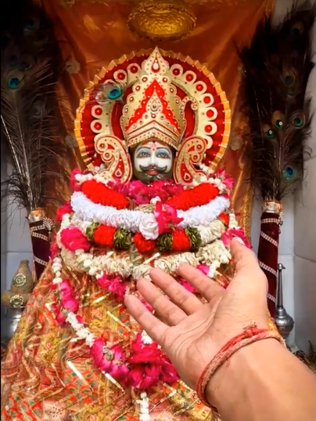 @shree shyam premi🫶🚩🕉️✨